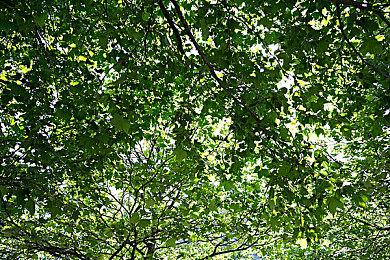 《守望先锋2》与《一拳超人》联动皮肤 雾子小龙卷