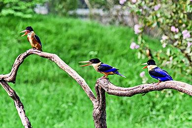 343承认《光环：无限》第二赛季首发崩盘 武器卡壳bug将修复